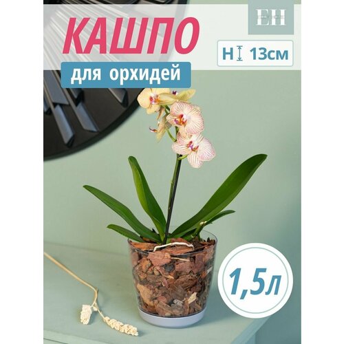 Кашпо для орхидей Elly Home, 1,5л, 1 шт. горшок для цветов, пластиковый цветочный вазон