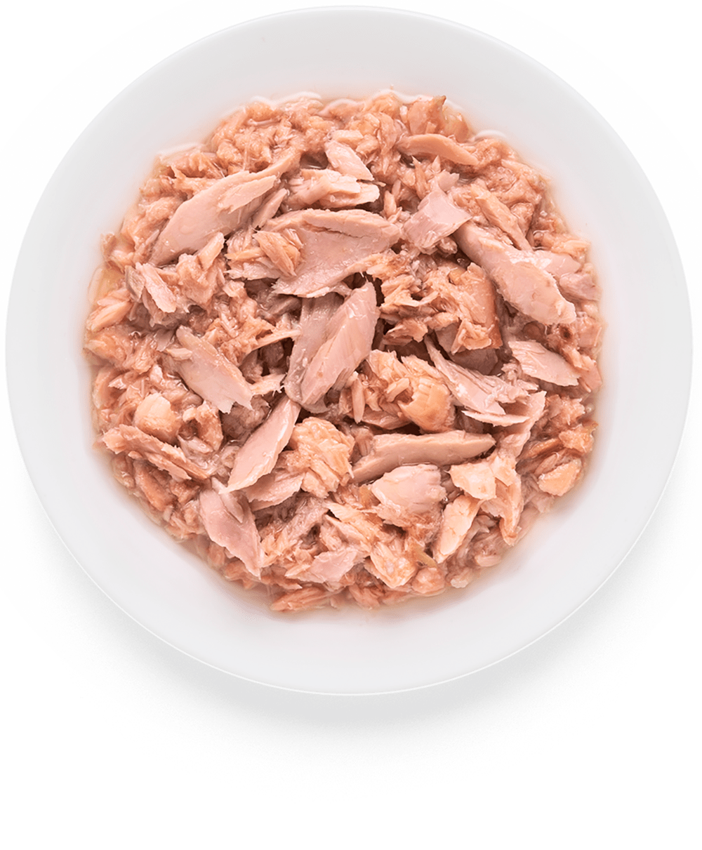 Консервы Grandorf Tuna with Salmon in Broth для кошек филе тунца с мясом лосося 6 шт 70 г