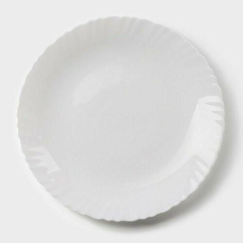 Тарелка обеденная Avvir «Дива», d=23 см, стеклокерамика, цвет белый (комплект из 7 шт)