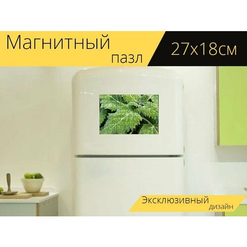 Магнитный пазл Листья, завод, лист на холодильник 27 x 18 см. магнитный пазл листья лист лист ореха грецкого на холодильник 27 x 18 см