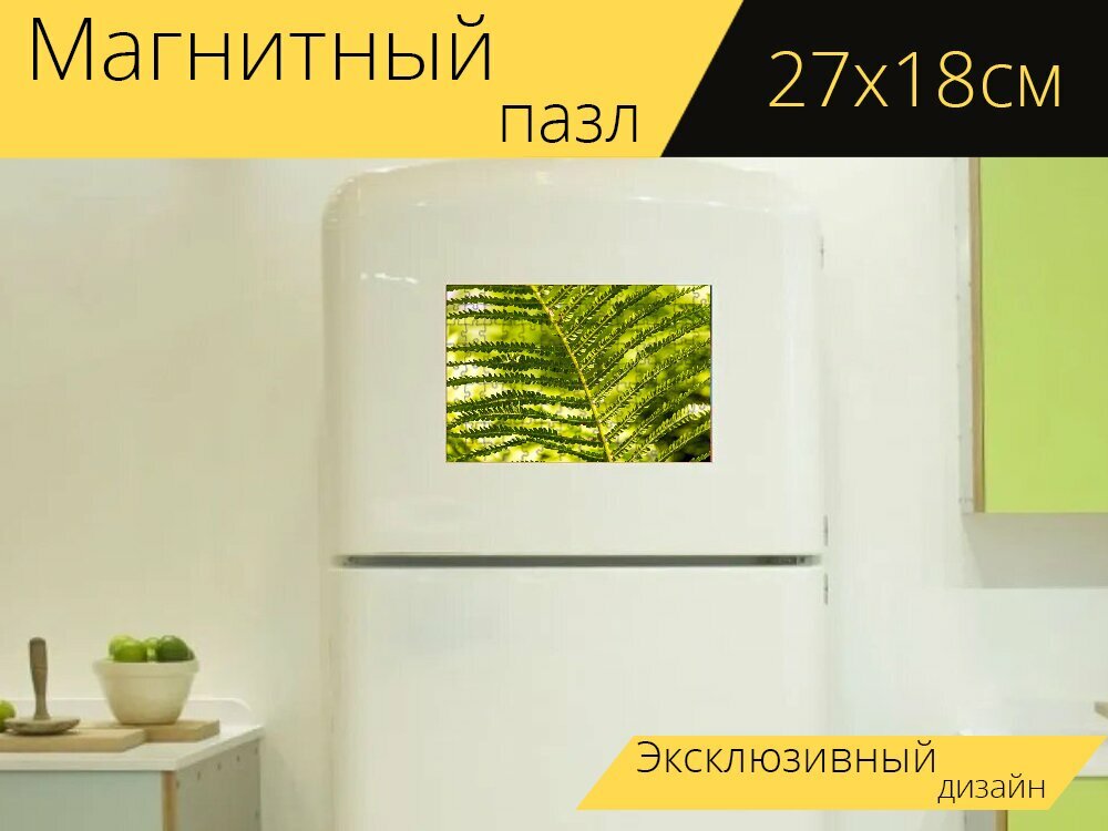 Магнитный пазл "Папоротник, зеленый, растение папоротник" на холодильник 27 x 18 см.