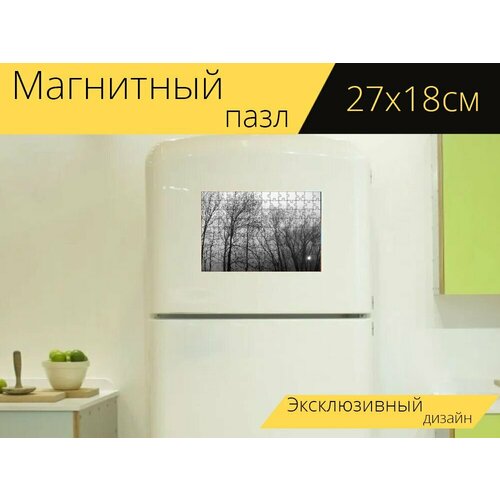 Магнитный пазл Деревья, туман, лес на холодильник 27 x 18 см.