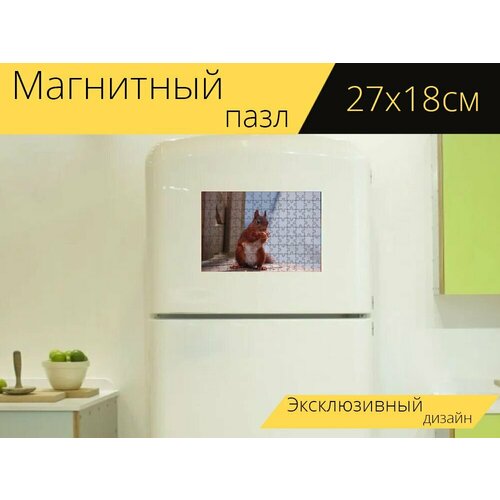 Магнитный пазл Белка, еда, млекопитающее на холодильник 27 x 18 см. магнитный пазл белка животное млекопитающее на холодильник 27 x 18 см