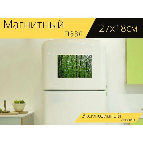 Магнитный пазл Древесина, зеленый, природа на холодильник 27 x 18 см.