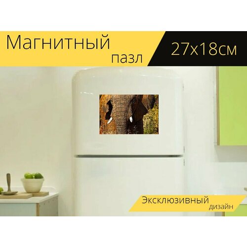 Магнитный пазл Слон, бивни, ствол на холодильник 27 x 18 см.