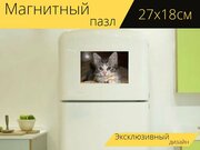 Магнитный пазл "Кошка, кошачий, котенок" на холодильник 27 x 18 см.