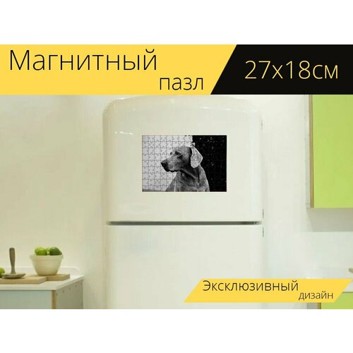 Магнитный пазл Собака, веймаранер, животное на холодильник 27 x 18 см.