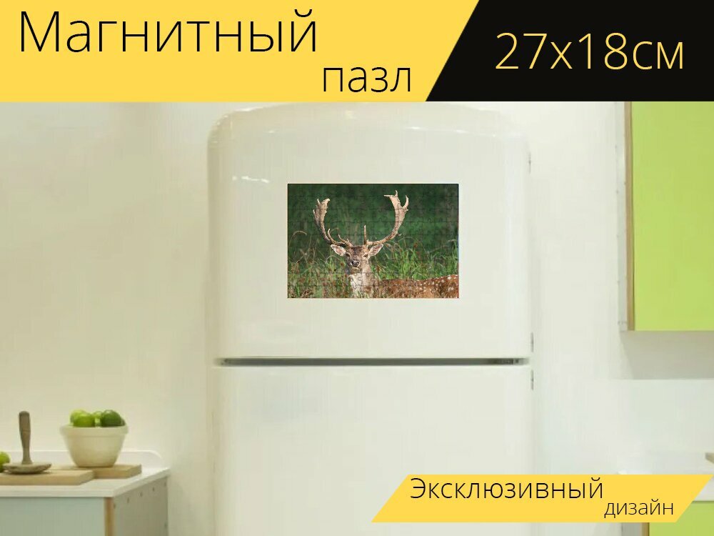 Магнитный пазл "Лань, олень, ограждение" на холодильник 27 x 18 см.