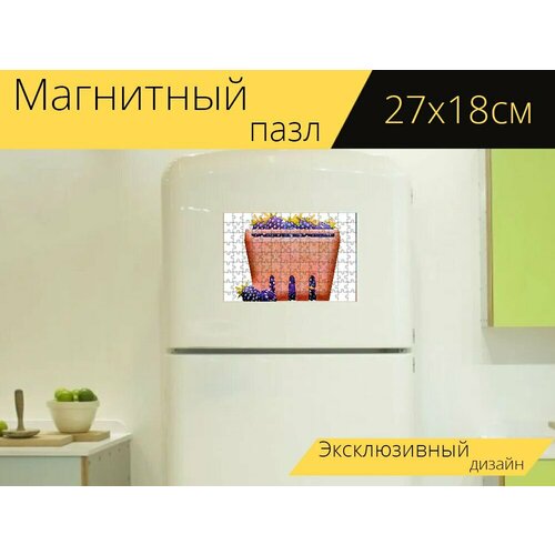 Магнитный пазл Акварелью фрукты, фрукты, грейпфрут на холодильник 27 x 18 см. магнитный пазл лавровые фрукты фрукты листья на холодильник 27 x 18 см