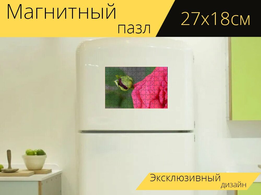 Магнитный пазл "Красная роза бархат, лепестки, бутон" на холодильник 27 x 18 см.