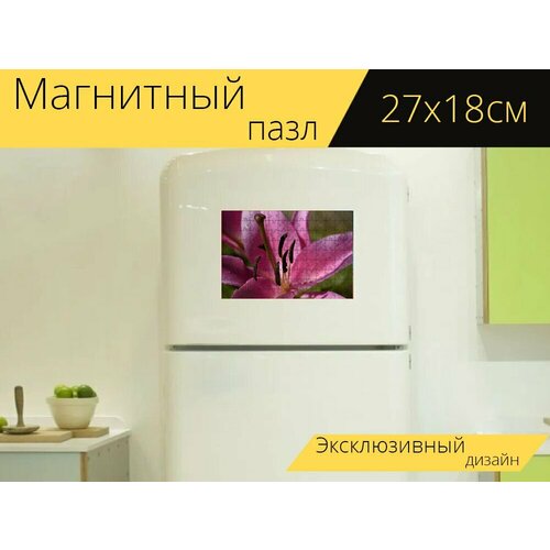 Магнитный пазл Лилия, цветок, цвета на холодильник 27 x 18 см. магнитный пазл цветок лилия цветение на холодильник 27 x 18 см