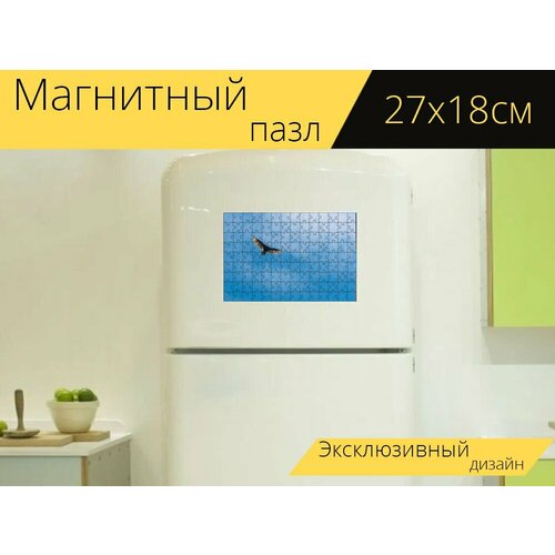 Магнитный пазл Птица, ястреб, парить на холодильник 27 x 18 см. магнитный пазл птица добыча ястреб на холодильник 27 x 18 см