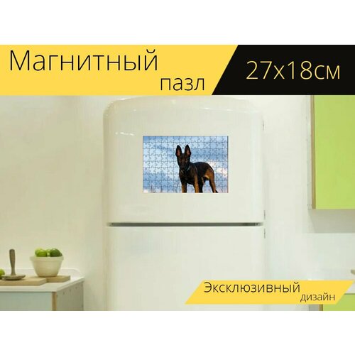 Магнитный пазл Малинуа, молодая собака, коричневый на холодильник 27 x 18 см. магнитный пазл малинуа молодая собака коричневый на холодильник 27 x 18 см