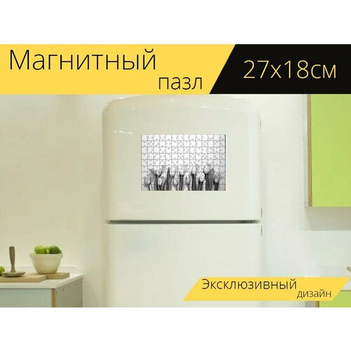 Магнитный пазл Тюльпаны, цветы, лепестки на холодильник 27 x 18 см. магнитный пазл цветы лепестки ваза на холодильник 27 x 18 см