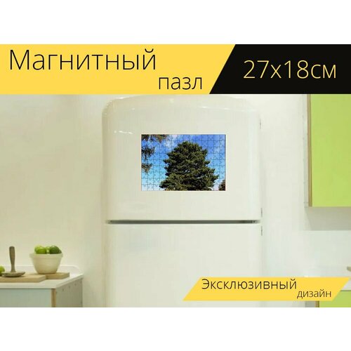 Магнитный пазл Природа, дерево, хвойное дерево на холодильник 27 x 18 см.