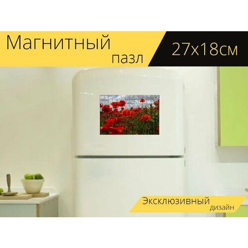 Магнитный пазл Маки, маковое поле, красный на холодильник 27 x 18 см.