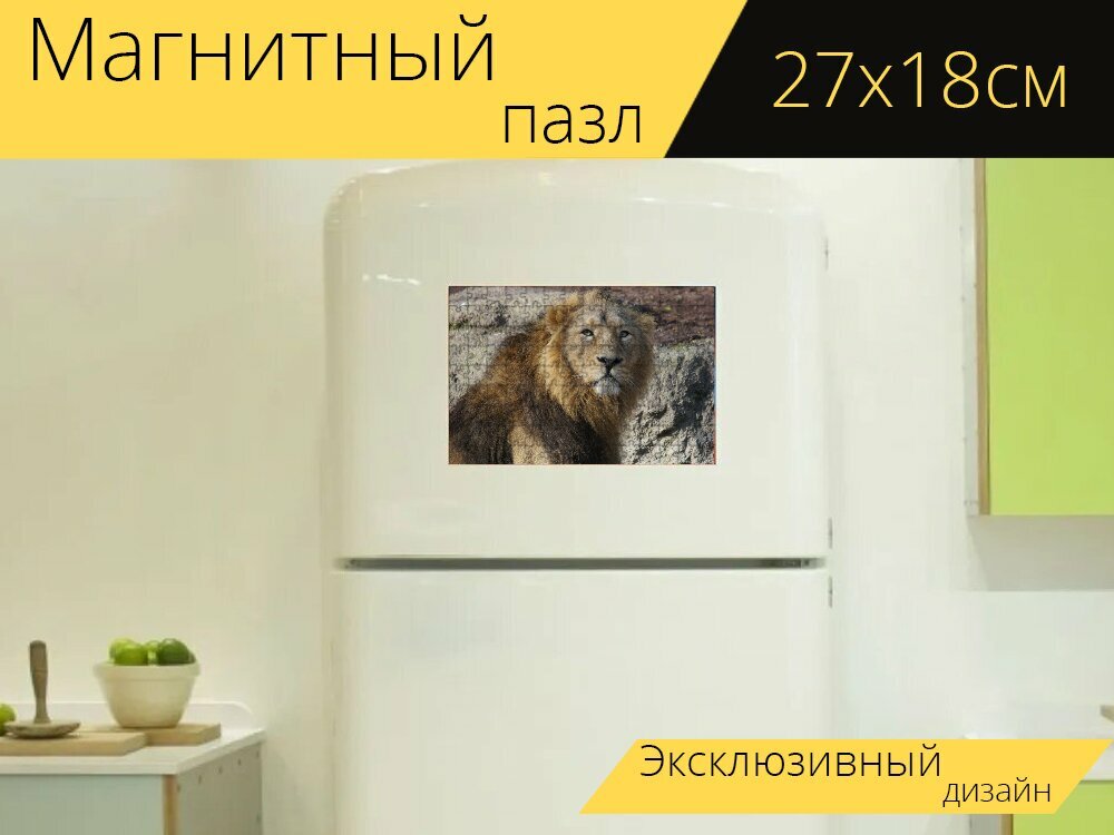 Магнитный пазл "Лев, мужской, царь зверей" на холодильник 27 x 18 см.