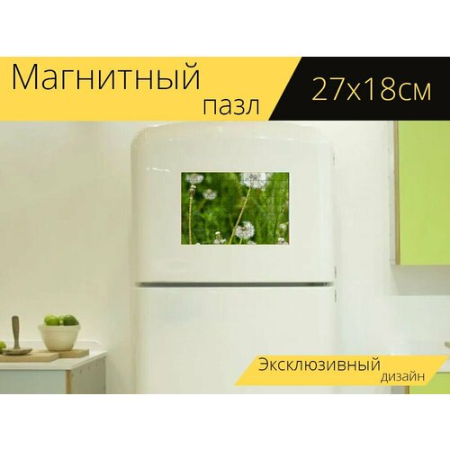 Магнитный пазл Одуванчик, зелень, природа на холодильник 27 x 18 см. магнитный пазл одуванчик природа одуванчик цапля на холодильник 27 x 18 см