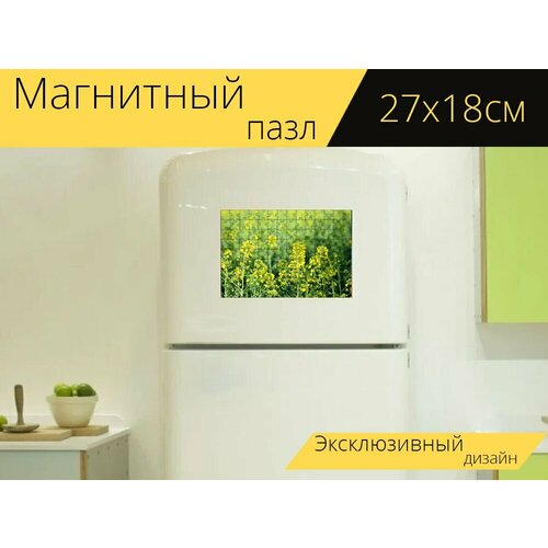 Магнитный пазл Рапсовое, цветущий рапс, поле на холодильник 27 x 18 см.