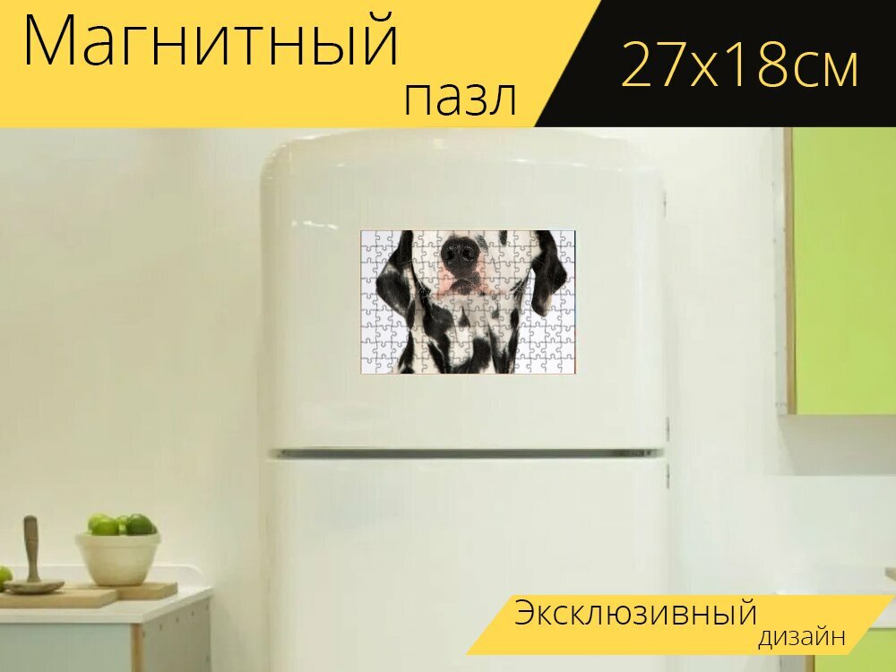 Магнитный пазл "Собака, далматинец, портрет животных" на холодильник 27 x 18 см.