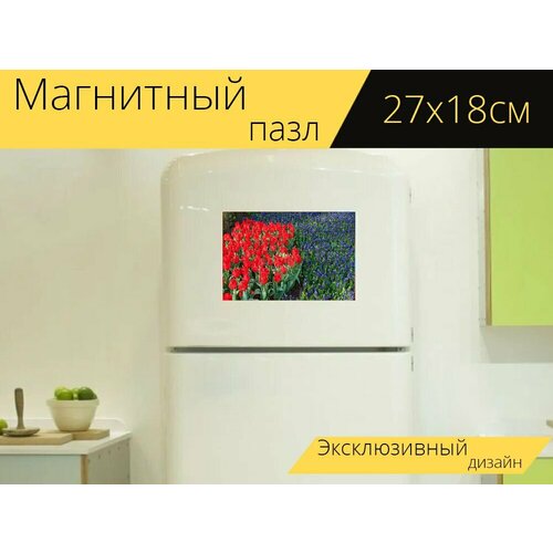 Магнитный пазл Тюльпан, красивая, блум на холодильник 27 x 18 см. магнитный пазл природа блюз блум на холодильник 27 x 18 см