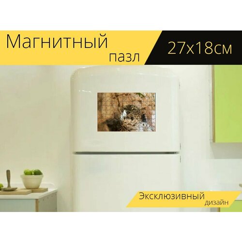 Магнитный пазл Гепард, животное, тигр на холодильник 27 x 18 см.
