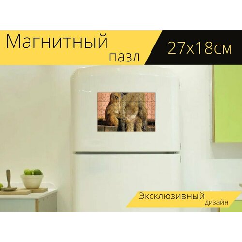 Магнитный пазл Обезьяны, бабуин, любовь на холодильник 27 x 18 см.