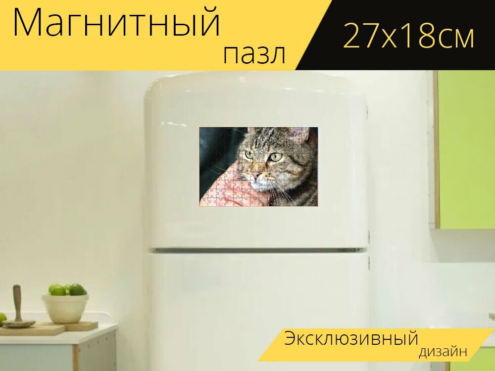 Магнитный пазл "Кот, инсульт, морда кошки" на холодильник 27 x 18 см.