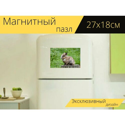 Магнитный пазл Карликовый кролик, маленький кролик, заяц на холодильник 27 x 18 см. магнитный пазл кролик заяц белые зайцы на холодильник 27 x 18 см