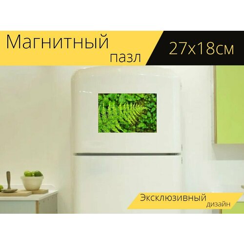 Магнитный пазл Папоротник, лист, зеленый на холодильник 27 x 18 см. магнитный пазл папоротник зеленый лист на холодильник 27 x 18 см