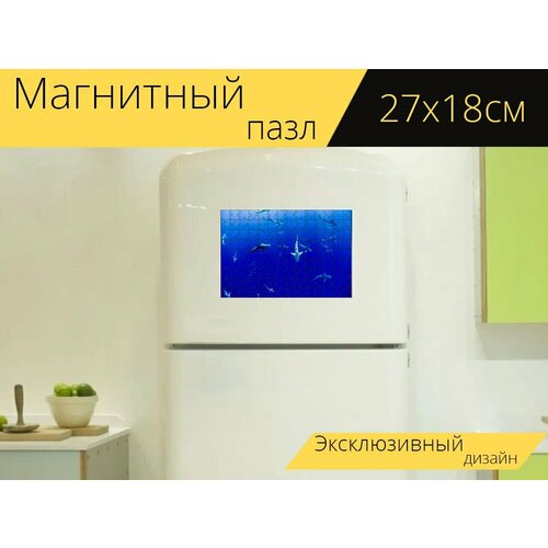 Магнитный пазл Акулы, аквариум, рыбы на холодильник 27 x 18 см. магнитный пазл аквариум рыбы вода на холодильник 27 x 18 см