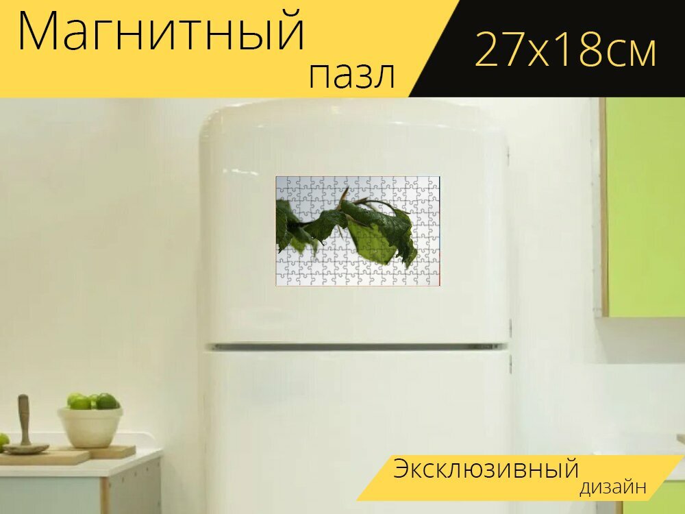 Магнитный пазл "Дождь, капли, капли дождя" на холодильник 27 x 18 см.