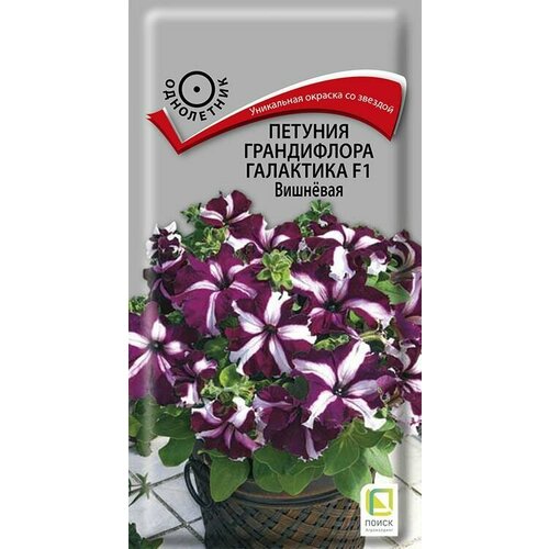 Петуния грандифлора Галактика F1 Вишневая 10 семян, Поиск