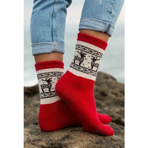 фото Носки , размер 40-42, красный монголка