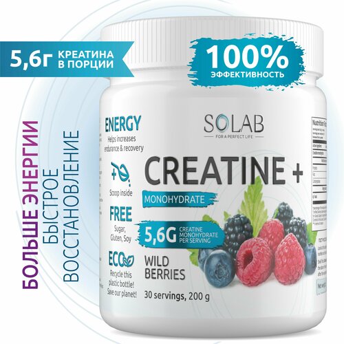 SOLAB Креатин моногидрат порошок 30 порций, Creatine Monohydrate, вкус лесные ягоды, 200 гр спортивное питание