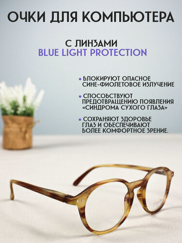 Изображение товара Очки для компьютера LECTIO RISUS LRC003-2 имиджевые защитные