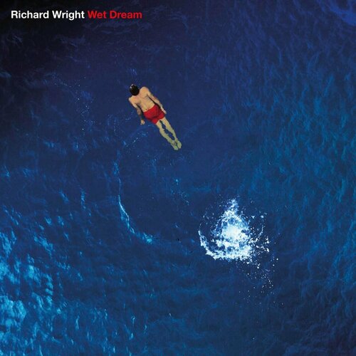 Виниловая пластинка Richard Wright. Wet Dream. Blue Marbled (LP) виниловая пластинка richard wright wet dream blue marbled lp