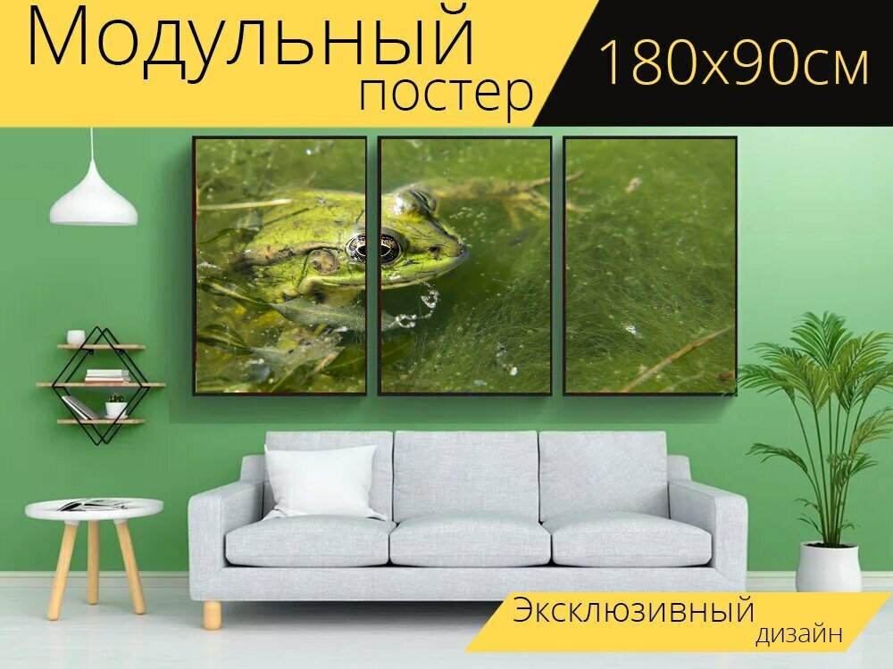 Модульный постер "Лягушка, пруд, грин" 180 x 90 см. для интерьера