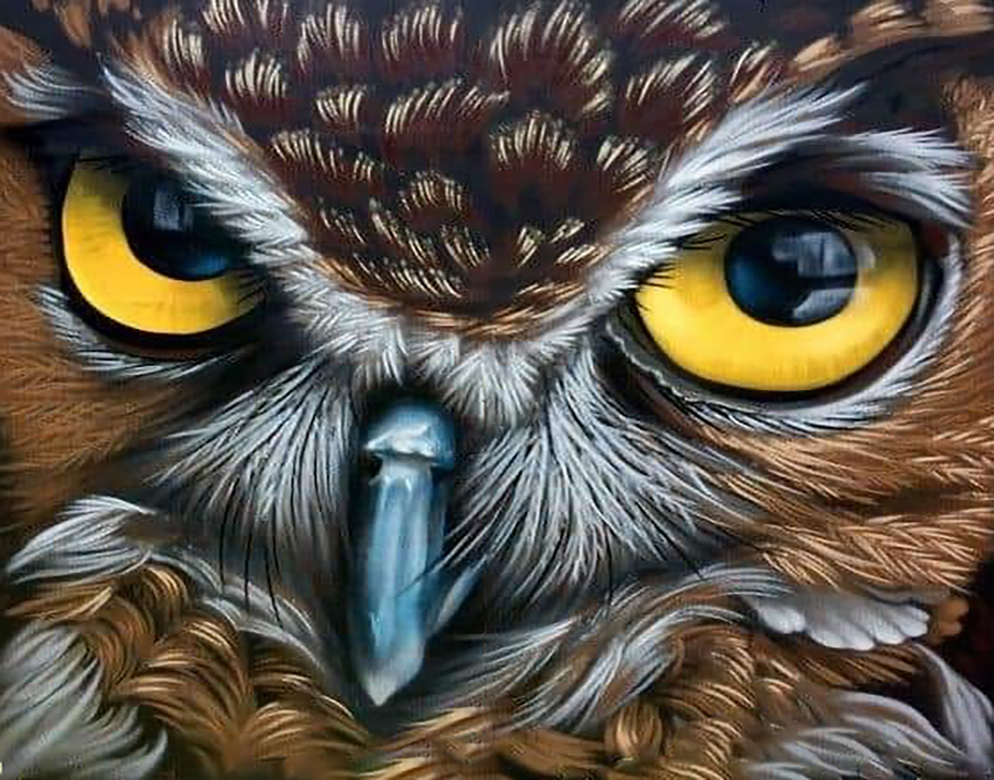 Картина по номерам Взгляд совы 40х50 см АртТойс