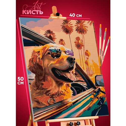 Картина по номерам на холсте собака Лабрадор в очках 40х50
