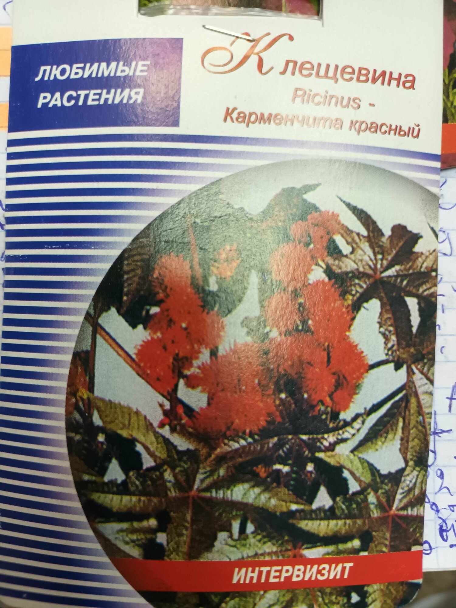 Клещевина Ricinus Карменчита красный семена 3 штуки