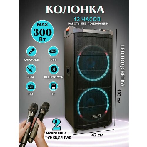 Акустическая система с функцией караоке HOLLEBERG HX-A215 2599000₽