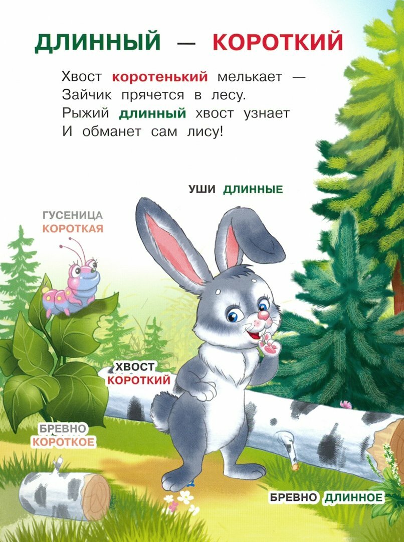 Сравнения (Шестакова Ирина Борисовна) - фото №2