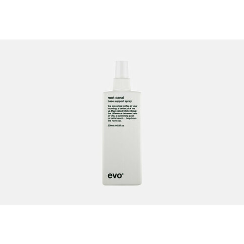 Спрей для прикорневого объема root canal base support spray 4868₽