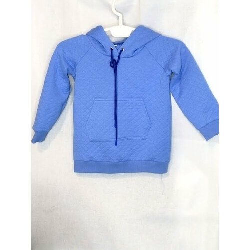 фото Лонгслив , размер 98, голубой lyubovfrolova