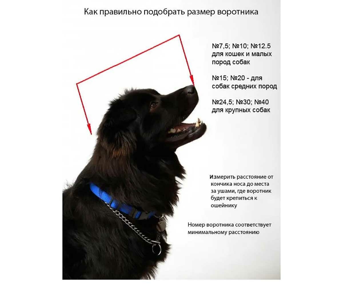 Воротник защитный на липучке Pro VitaVet 12,5см р.3 ООО Медико - фото №10