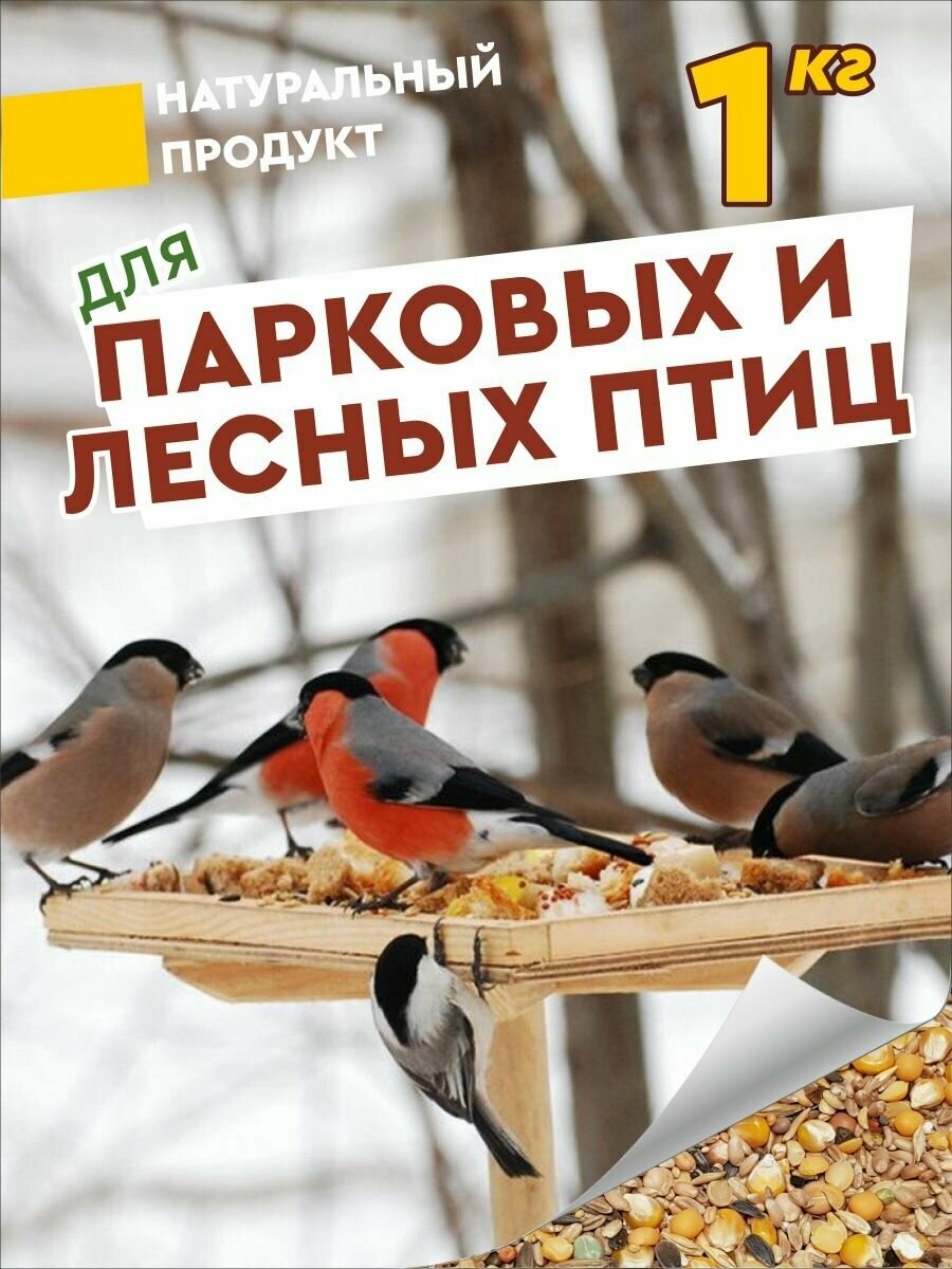 для птиц уличных, лесных, диких, семечки кормушка, 1 кг