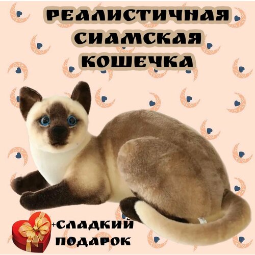 Мягкая игрушка реалистичная Сиамская кошка/45 см+ Маршмеллоу в подарок (сюрприз кондитерский)