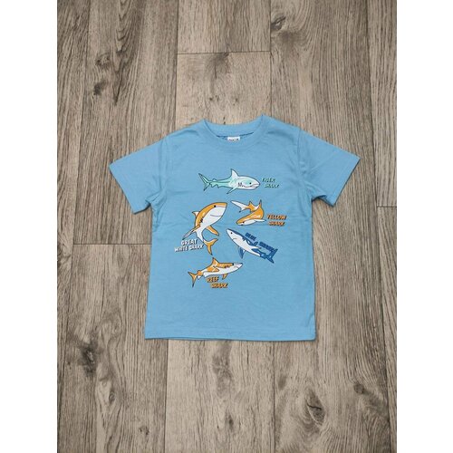 Футболка CHASTE KIDS, размер 2 года, 92 см, голубой