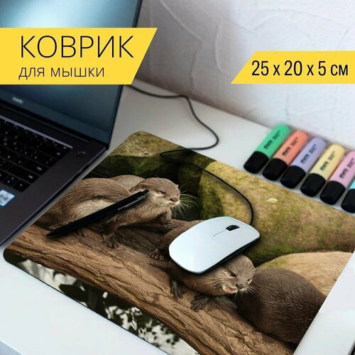 Коврик для мыши с принтом Выдра, грызун, природа 25x20см. коврик для мыши с принтом азиатские короткие когтистые выдра выдра вода 25x20см